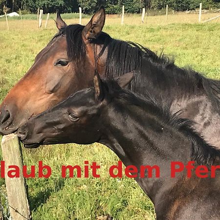 Hardtmuehle Momberg 아파트 외부 사진