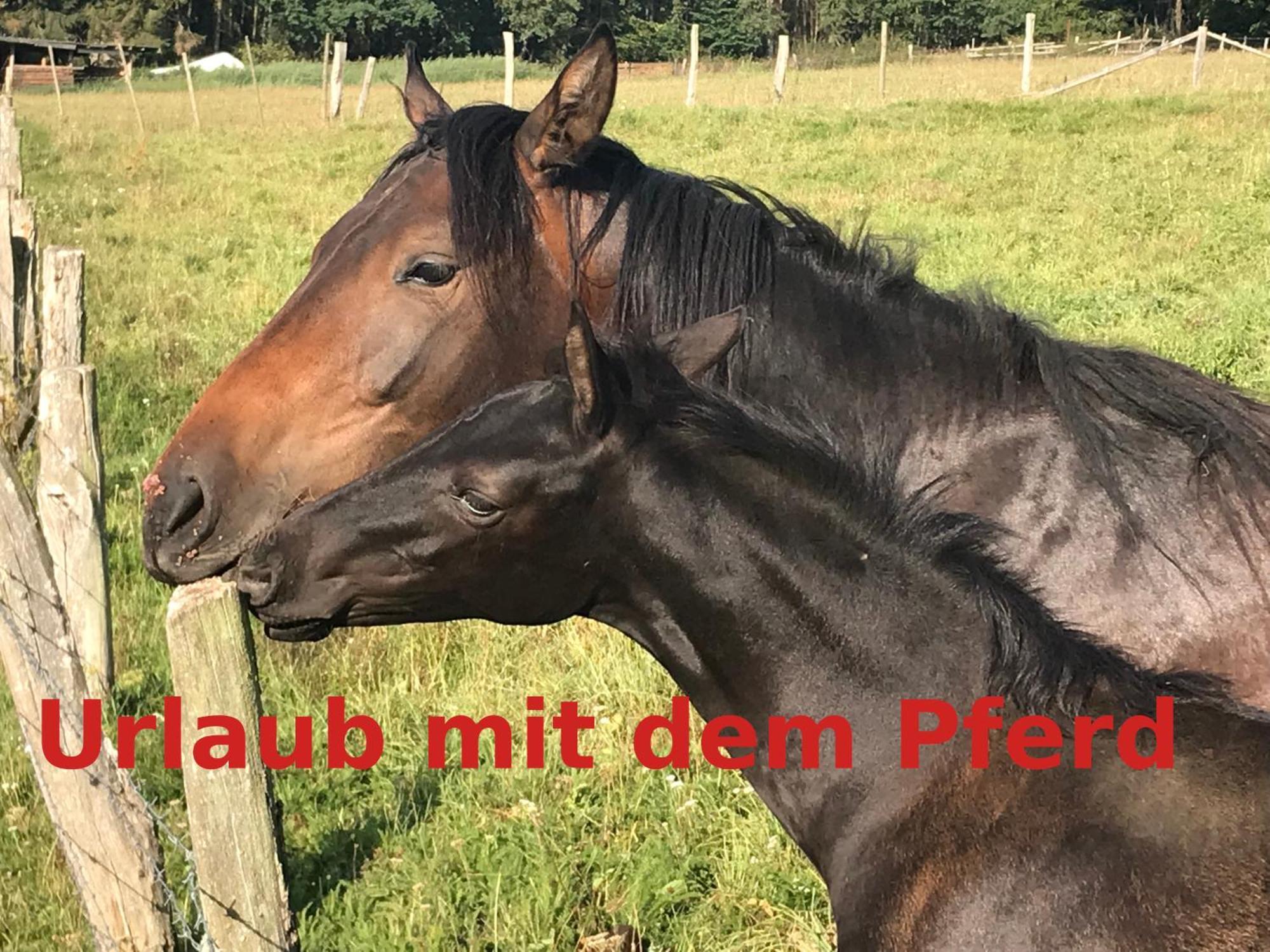 Hardtmuehle Momberg 아파트 외부 사진